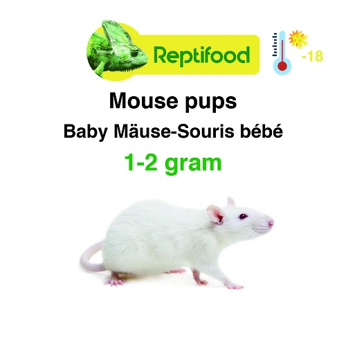 Diepvries muis baby 1-2 gram per 25 st.